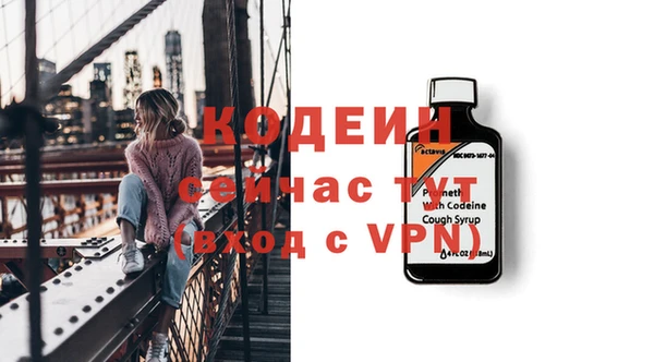 прущий лед Вяземский