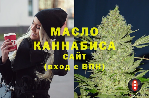 прущий лед Вяземский