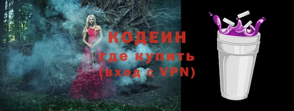 прущий лед Вяземский