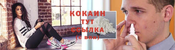 прущий лед Вяземский