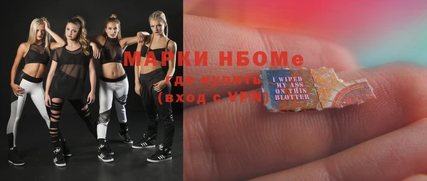прущий лед Вяземский