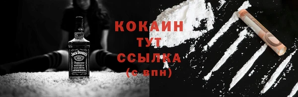 прущий лед Вяземский