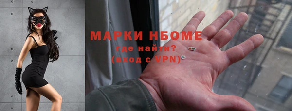 прущий лед Вяземский