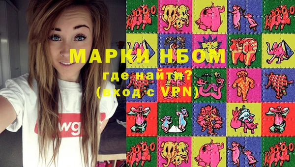 прущий лед Вяземский