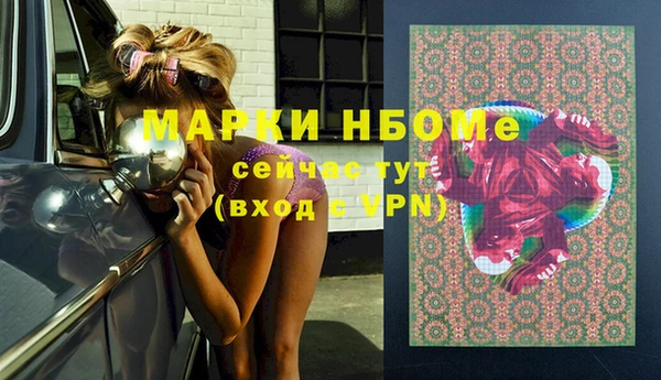 прущий лед Вяземский