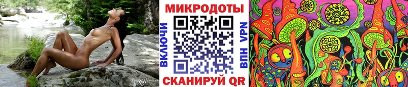 наркота  Прокопьевск  Галлюциногенные грибы GOLDEN TEACHER 